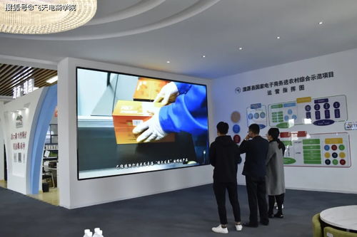 縣委常委、宣傳部部長甘占芳一行蒞臨電子商務公共服務中心指導商務服務工作