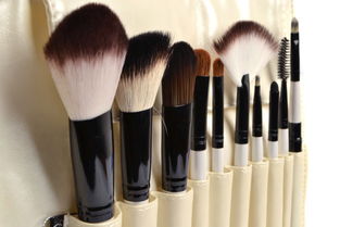 家居日用品 日常生活的藝術(shù)與實用